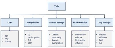 A practical guide to managing cardiopulmonary toxicities of tyrosine kinase inhibitors in chronic myeloid leukemia